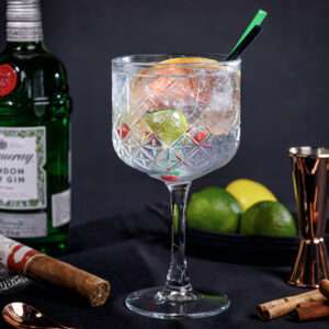 GIN TONIC 250 ML